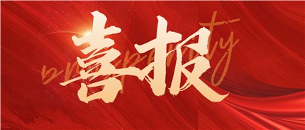 喜報！進(jìn)芯電子入選2022年湖南省專精特新“小巨人”企業(yè)名單！
